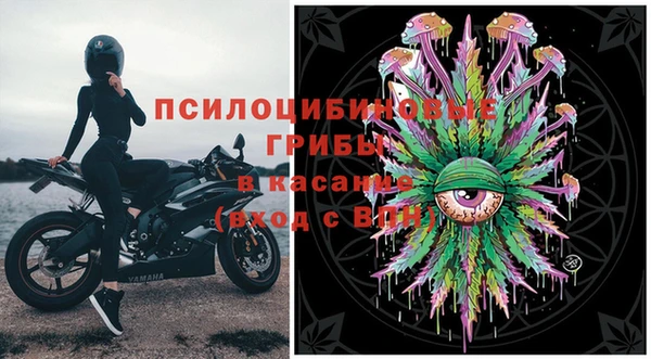 мяу мяу кристалл Богданович