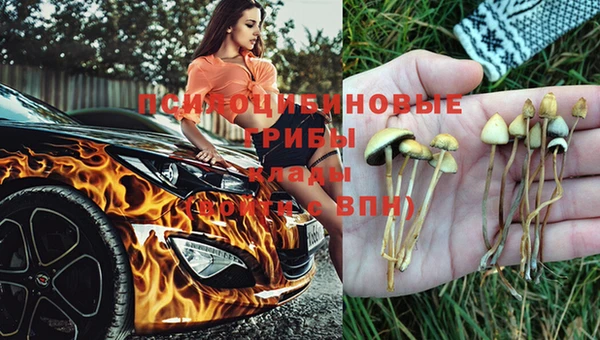 бошки Богородск