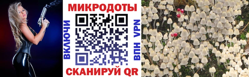 наркотики  Наро-Фоминск  Галлюциногенные грибы мухоморы 